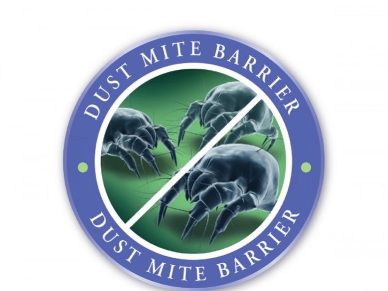 BUNDLE DEAL Protect A Bed Plush Pillow Protector