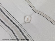 Sweet Dreams Overture 4ft6 Double 1000 Pocket Sprung Divan Bed Thumbnail