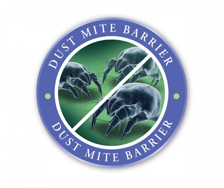 Protect A Bed Essential 3ft Single Mattress Protector by Protect A Bed